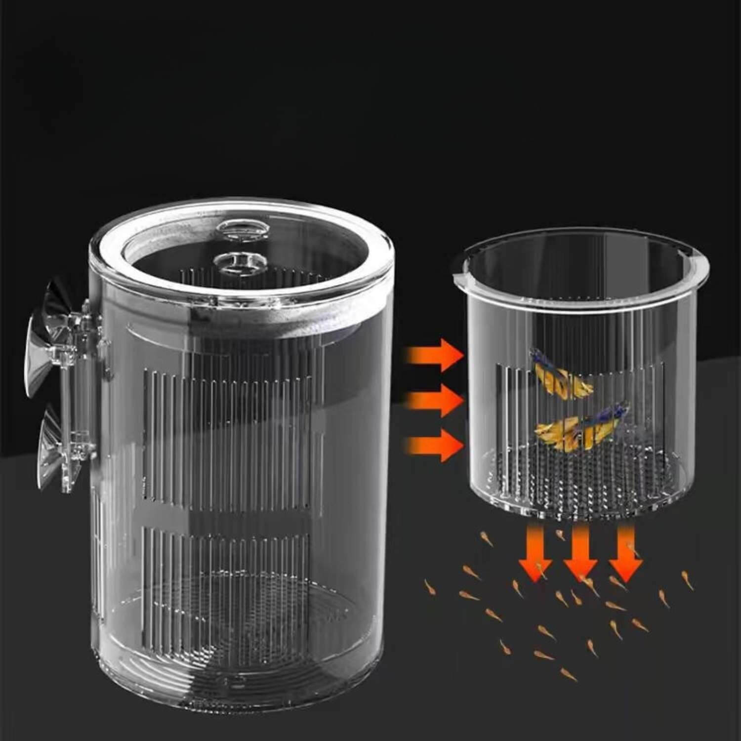 Acryl Fokdoos Gescheiden Met Jongeren